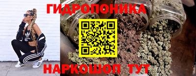 стаф Пушкино