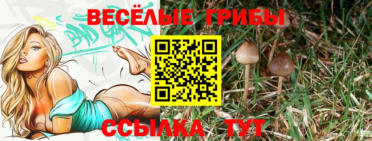 Нягань  Псилоцибиновые грибы ЛСД  Вход с VPN 