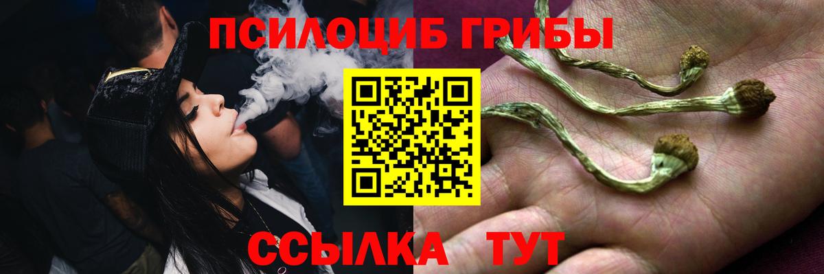 Галлюциногенные грибы MAGIC MUSHROOMS Нягань